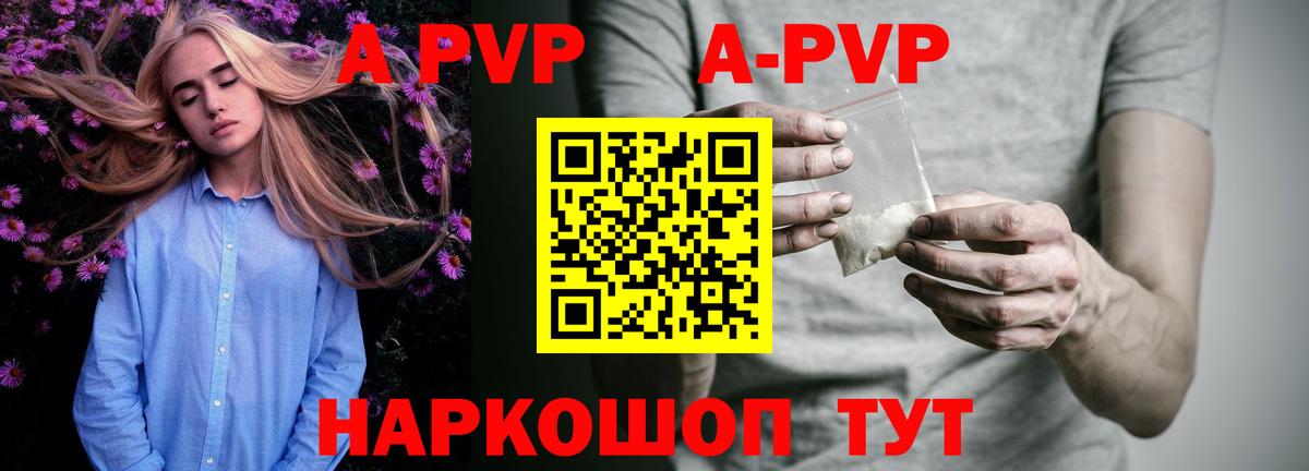 A-PVP СК Братск