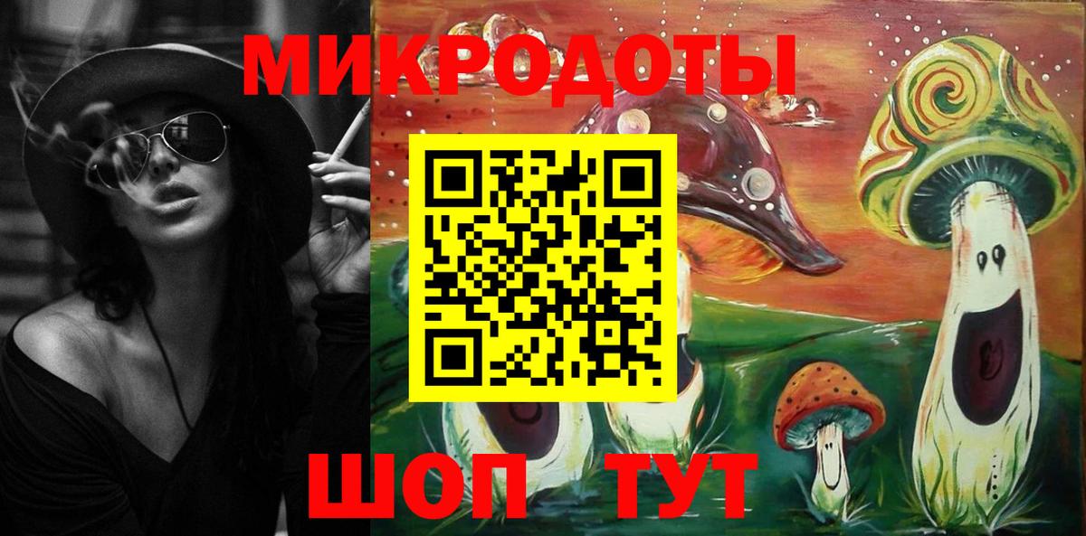 Псилоцибиновые грибы Psilocybine cubensis Братск
