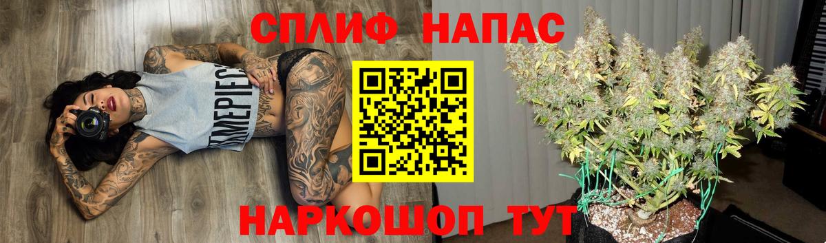 Братск  Каннабис сатива  Конопля Amnesia  Вход с VPN 